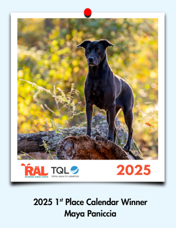 Calendar Contest- Maya.png